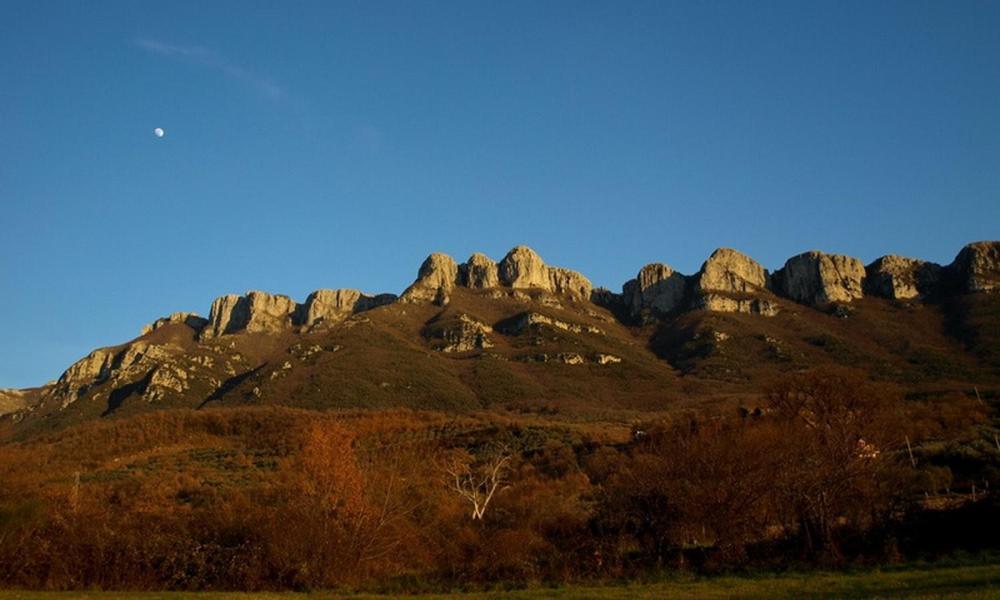 Agriturismo Al Gallo Verde Altavilla Silentina Zewnętrze zdjęcie