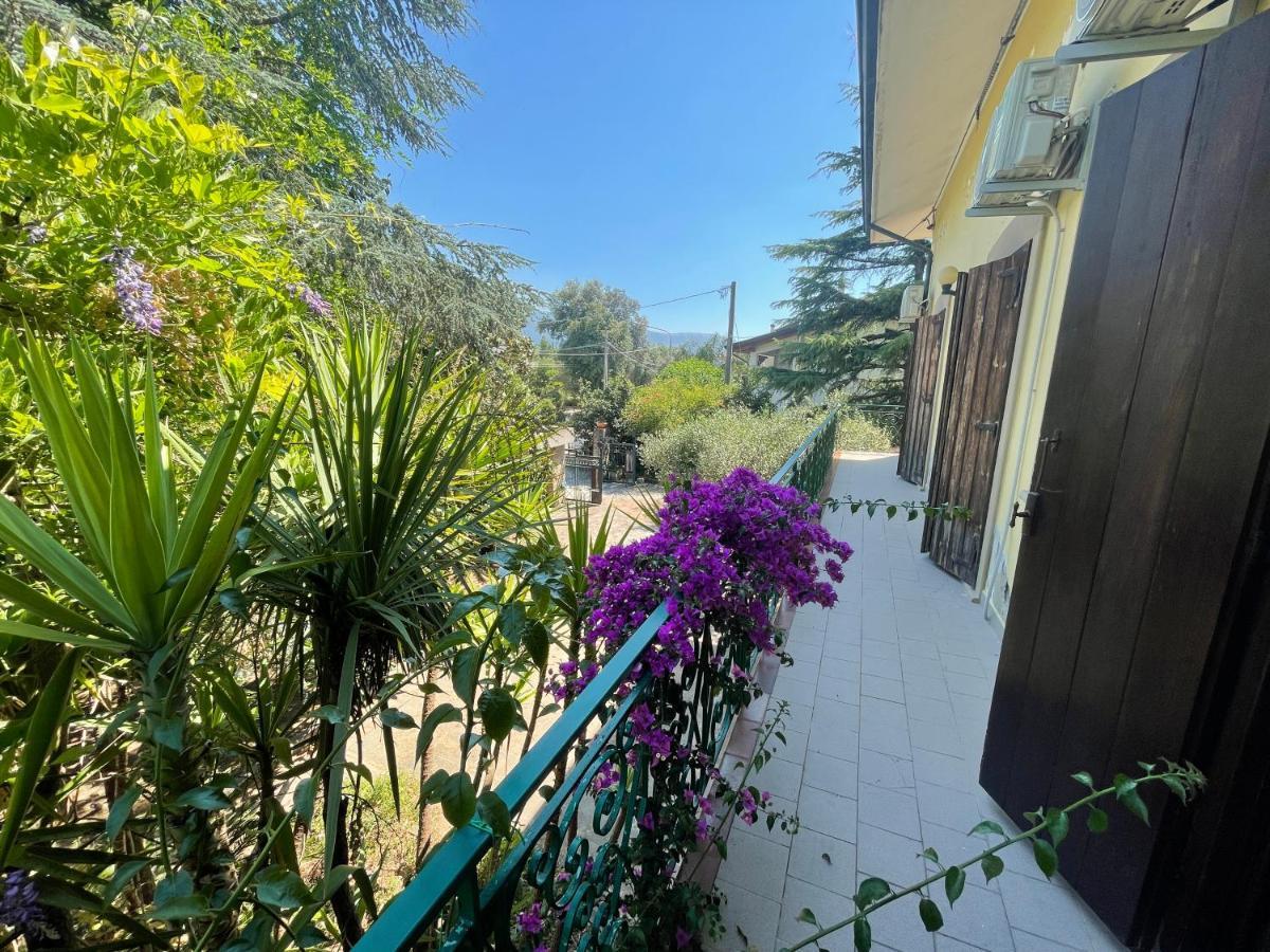 Agriturismo Al Gallo Verde Altavilla Silentina Zewnętrze zdjęcie